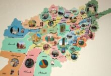 منفعت طلبی قومی در افغانستان: ریشه ها و عوامل